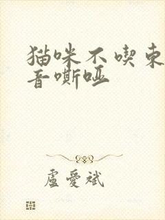 猫咪不吃东西声音嘶哑