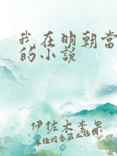 我在明朝当暴君的小说 我在明朝当暴君的小说