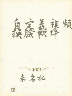 自定义视频ai换脸软件