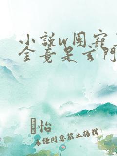 小说w团宠真千金竟是玄门大佬》