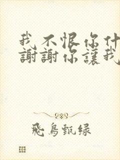 我不恨你什么,谢谢你让我幸福过