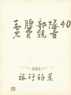王牌部队40集免费观看