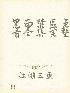 黑白禁区免费观看全集完整版