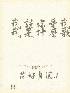 我说你爱我你想我是什么歌