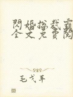 闪婚总裁霸道宠全文免费阅读