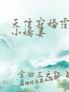 天价宠婚霍总的小娇妻