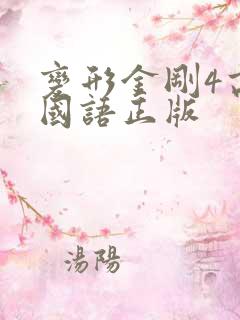 变形金刚4高清国语正版