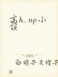 高h. np小说