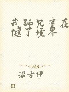 我师兄实在太稳健了境界