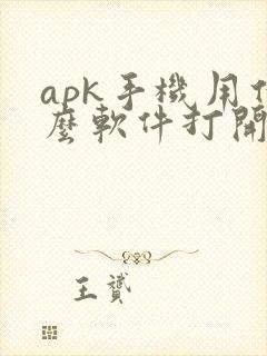apk手机用什么软件打开