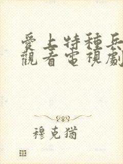 爱上特种兵免费观看电视剧