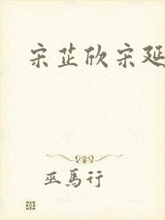 宋芷欣宋延昌