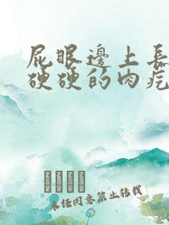 屁眼边上长了个硬硬的肉疙瘩