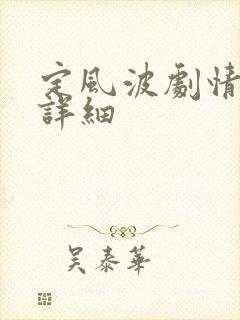 定风波剧情简介详细