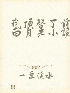我顶替了前夫的白月光小说免费阅读