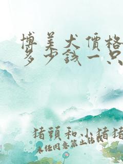 博美犬价格大概多少钱一只 博美犬价格大概多少钱一只