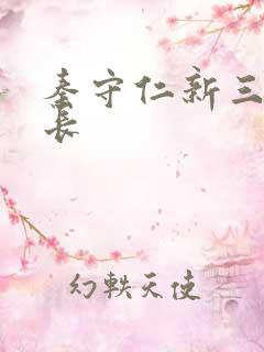 秦守仁新三宝局长