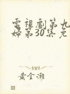 电视剧第九个寡妇第30集免费观看