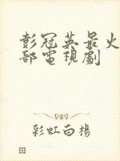 彭冠英最火的十部电视剧