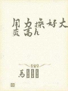 用力操好大啊好爽高h