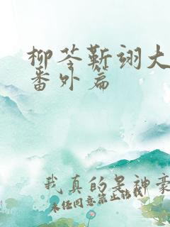 柳芩靳翊大结局番外篇 柳芩靳翊大结局番外篇
