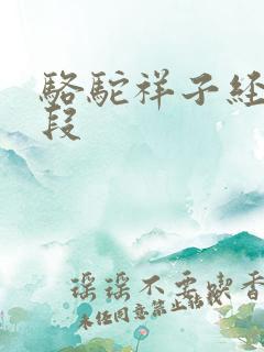 骆驼祥子经典语段 骆驼祥子经典语段