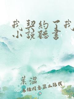 我契约了我自己小说听书 我契约了我自己小说听书