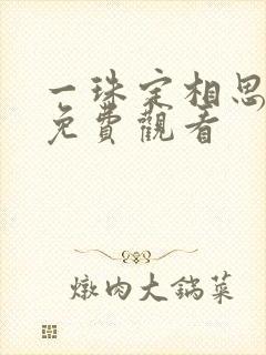 一珠定相思短剧免费观看