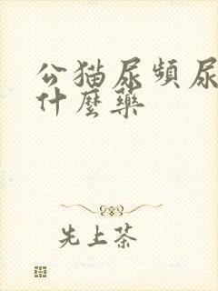 公猫尿频尿少吃什么药