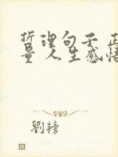 哲理句子 正能量 人生感悟 现实 哲理句子 正能量 人生感悟 现实