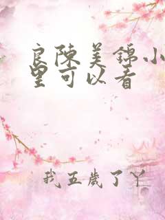 良陈美锦小说哪里可以看