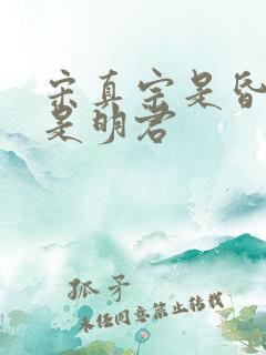 宋真宗是昏君还是明君