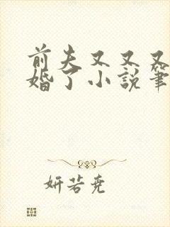 前夫又又又想复婚了小说笔趣阁