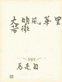 大明风华里的孙若微