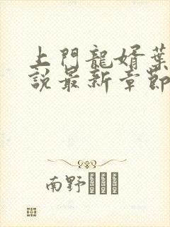 上门龙婿叶辰小说最新章节列表列表