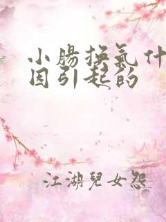 小肠换气什么原因引起的