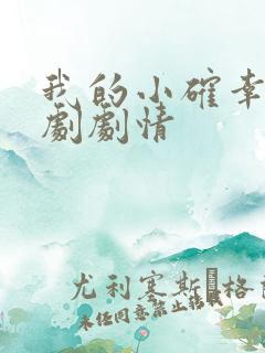 我的小确幸电视剧剧情