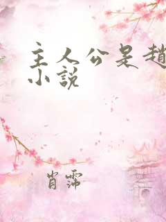 主人公是赵辰的小说