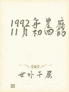 1992年农历11月初四的生辰八字