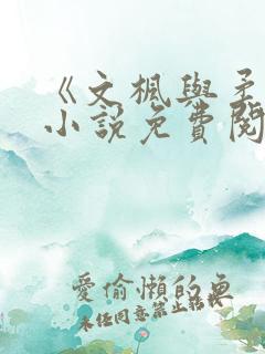 《文枫与柔佳》小说免费阅读