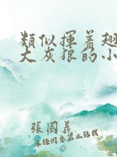 类似挥着翅膀的大灰狼的小说