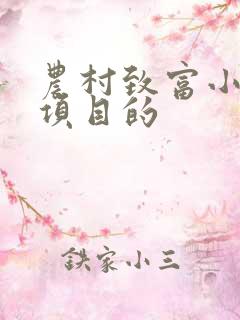 农村致富小创业项目的