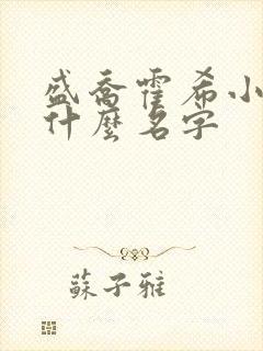 盛乔霍希小说叫什么名字 盛乔霍希小说叫什么名字