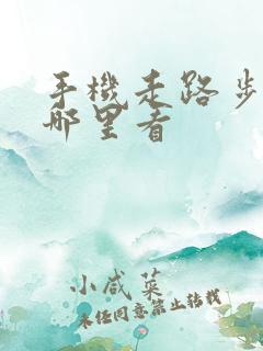 手机走路步数在哪里看