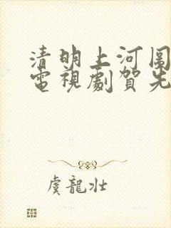 清明上河图密码电视剧贺先生 清明上河图密码电视剧贺先生