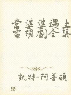 当婆婆遇上的妈电视剧全集观看