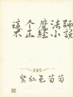 这个魔法师有点不正经小说免费阅读