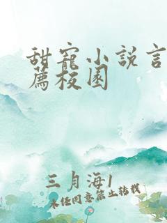 甜宠小说言情推荐校园