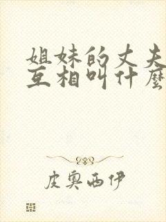 姐妹的丈夫之间互相叫什么