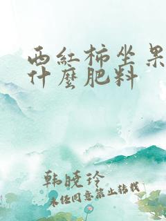 西红柿坐果期施什么肥料